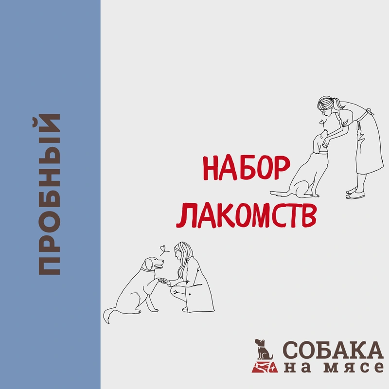 ПРОБНЫЙ НАБОР СУШЁНЫХ ЛАКОМСТВ