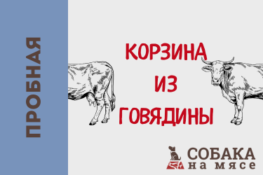 Подарочный (3)